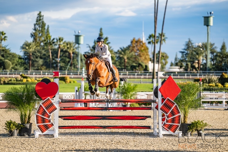 1S/T Split Rock Equestrian Show Jumping