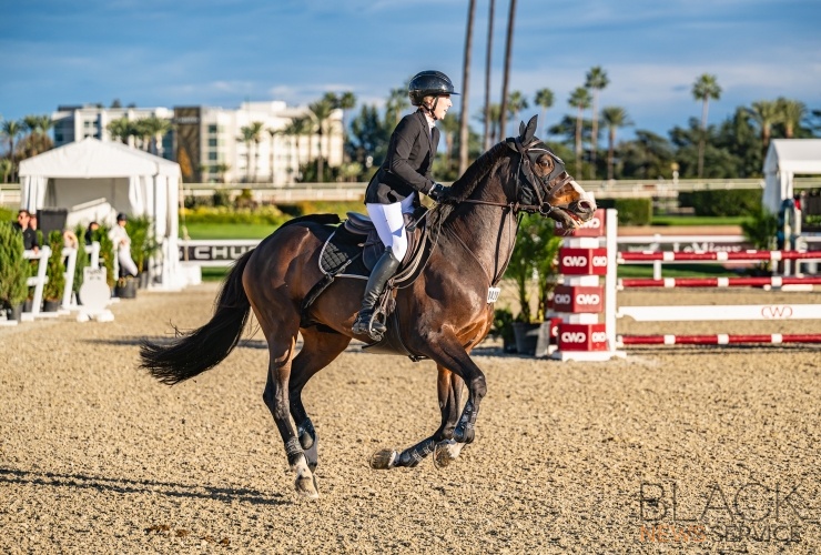 1S/T Split Rock Equestrian Show Jumping