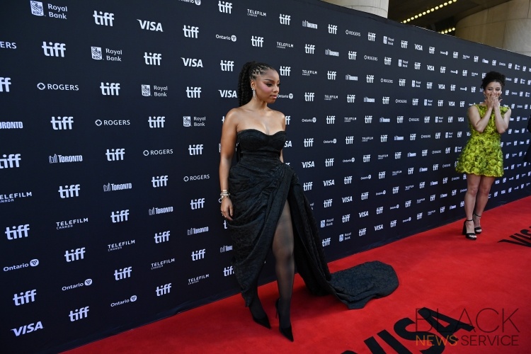 The 2026 Toronto Internat Film Festival